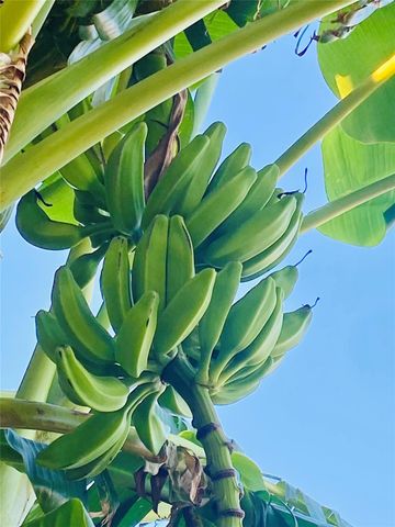 794 Marlin Street, Bayou Vista, TX 77563