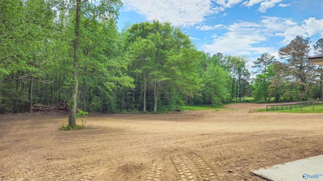 28663 Old Scrouge Road, Elkmont, AL 35620