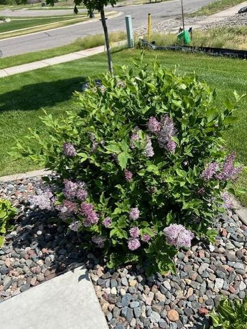 14971 Jade Street SE, Becker, MN 55308