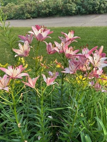 14971 Jade Street SE, Becker, MN 55308