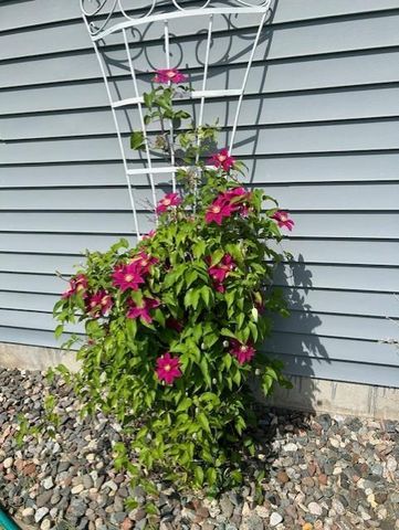 14971 Jade Street SE, Becker, MN 55308