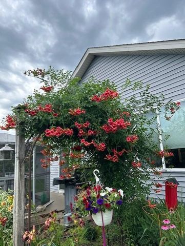 14971 Jade Street SE, Becker, MN 55308