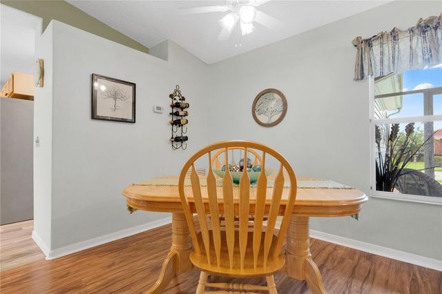 228 GRAND VISTA TRAIL, Leesburg, FL 34748