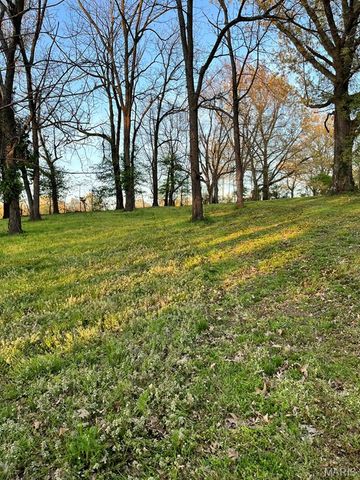 10755 State Highway Zz, Dexter, MO 63841