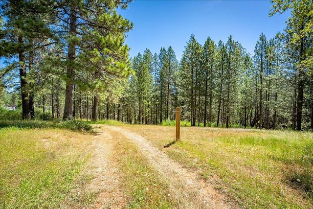 1115 Pine Vista Ln, Meadow Vista, CA 95722