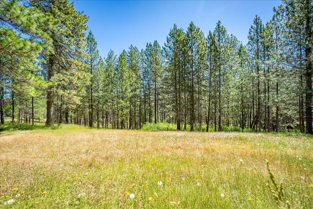 1115 Pine Vista Ln, Meadow Vista, CA 95722