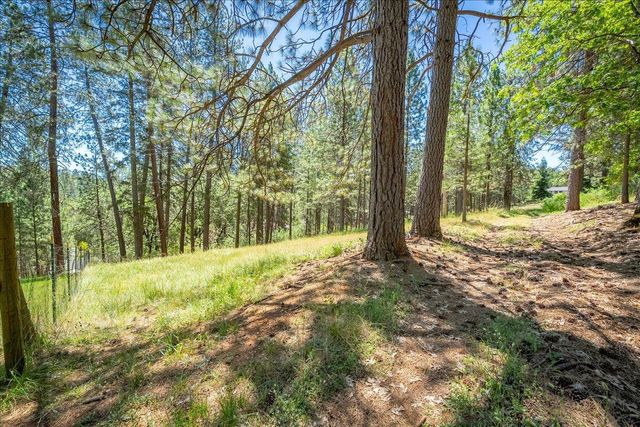 1115 Pine Vista Ln, Meadow Vista, CA 95722