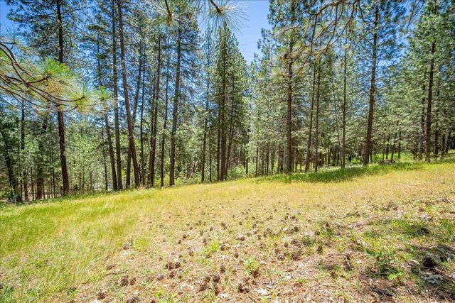 1115 Pine Vista Ln, Meadow Vista, CA 95722