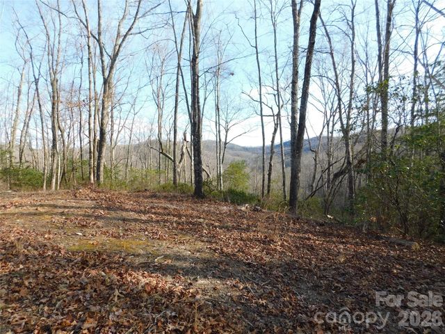 154 Laurel Thicket Drive 98, Brevard, NC 28712