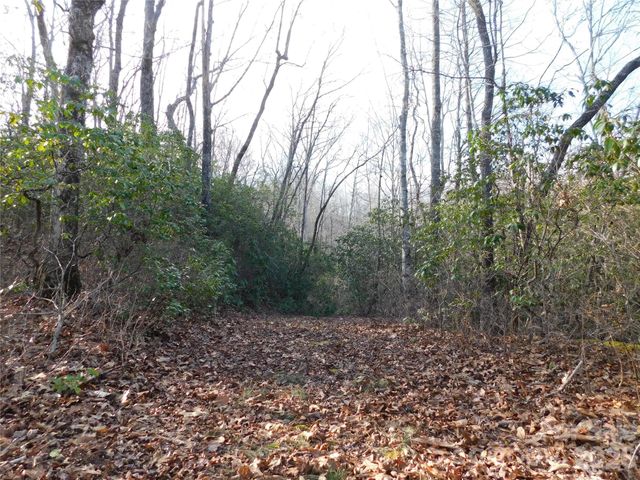 154 Laurel Thicket Drive 98, Brevard, NC 28712