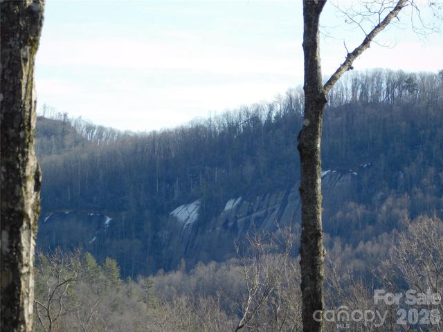 154 Laurel Thicket Drive 98, Brevard, NC 28712