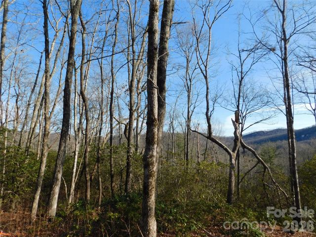 154 Laurel Thicket Drive 98, Brevard, NC 28712