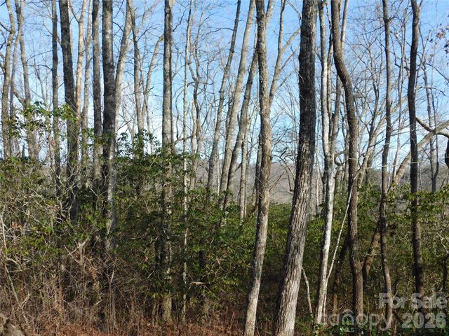 154 Laurel Thicket Drive 98, Brevard, NC 28712