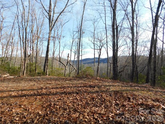 154 Laurel Thicket Drive 98, Brevard, NC 28712