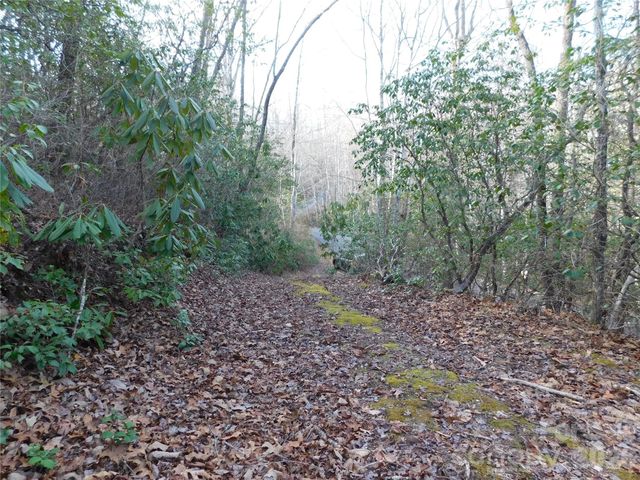 154 Laurel Thicket Drive 98, Brevard, NC 28712