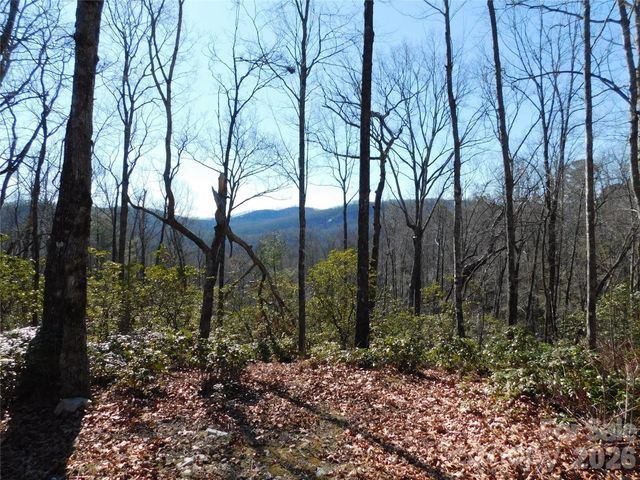 154 Laurel Thicket Drive 98, Brevard, NC 28712