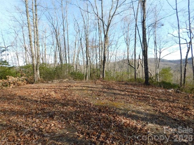 154 Laurel Thicket Drive 98, Brevard, NC 28712