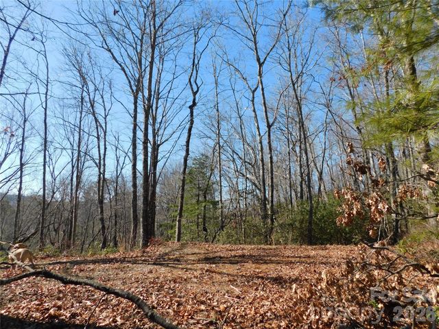 154 Laurel Thicket Drive 98, Brevard, NC 28712