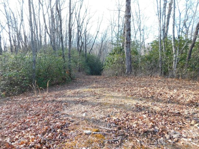 154 Laurel Thicket Drive 98, Brevard, NC 28712