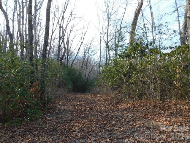 154 Laurel Thicket Drive 98, Brevard, NC 28712