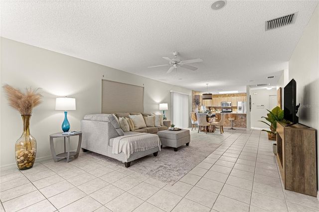 3024 MACON COURT, The Villages, FL 32162