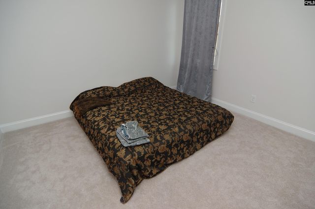 214 Tuckasegee Way, Lexington, SC 29072