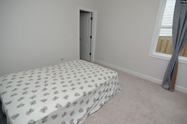 214 Tuckasegee Way, Lexington, SC 29072