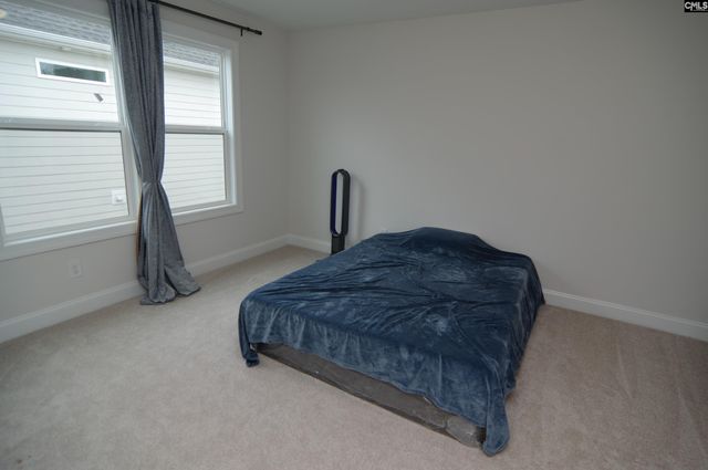 214 Tuckasegee Way, Lexington, SC 29072