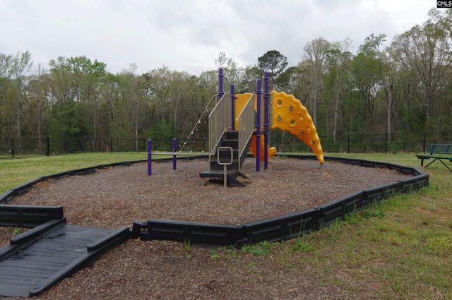 214 Tuckasegee Way, Lexington, SC 29072