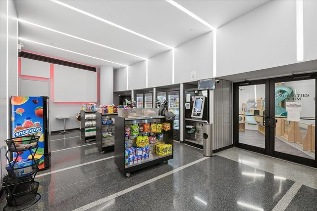 505 N Lake Shore Drive 3510-3511, Chicago, IL 60611