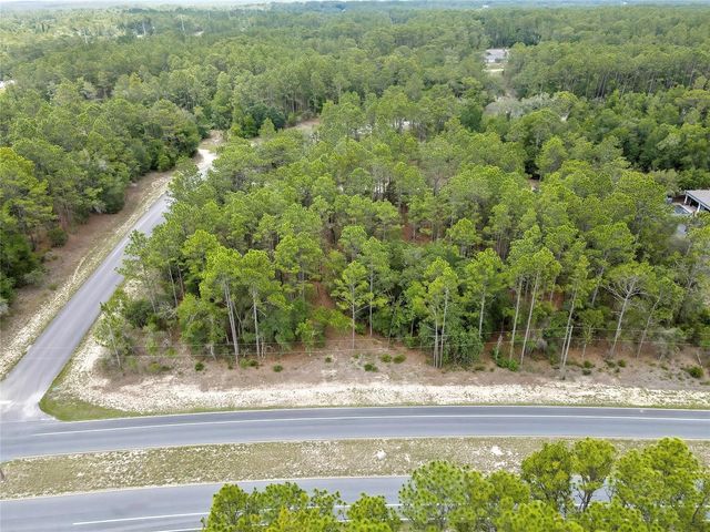9787 N CITRUS SPRINGS BOULEVARD, Citrus Springs, FL 34434