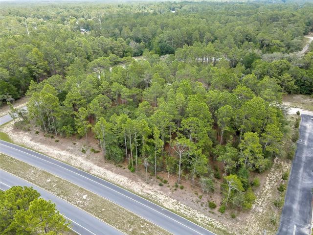 9787 N CITRUS SPRINGS BOULEVARD, Citrus Springs, FL 34434