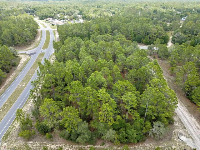 9787 N CITRUS SPRINGS BOULEVARD, Citrus Springs, FL 34434
