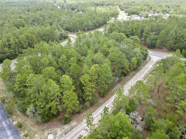 9787 N CITRUS SPRINGS BOULEVARD, Citrus Springs, FL 34434