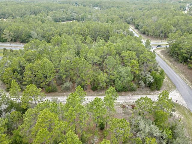 9787 N CITRUS SPRINGS BOULEVARD, Citrus Springs, FL 34434