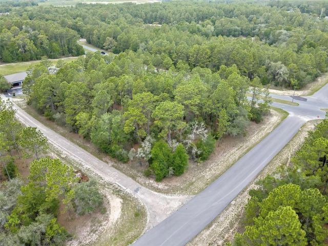 9787 N CITRUS SPRINGS BOULEVARD, Citrus Springs, FL 34434