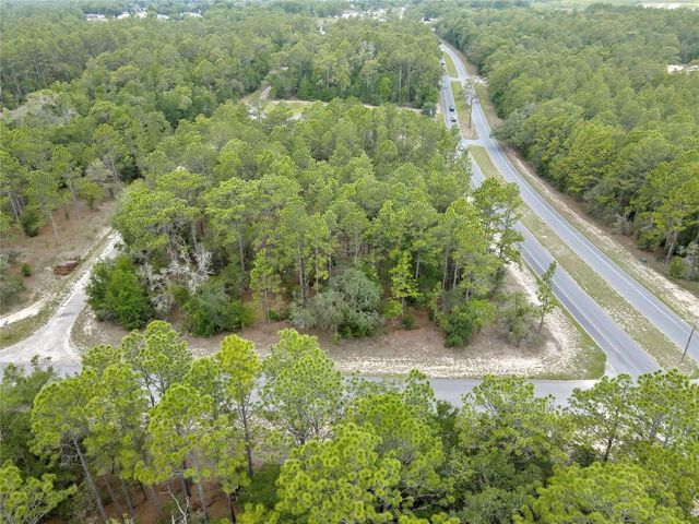 9787 N CITRUS SPRINGS BOULEVARD, Citrus Springs, FL 34434