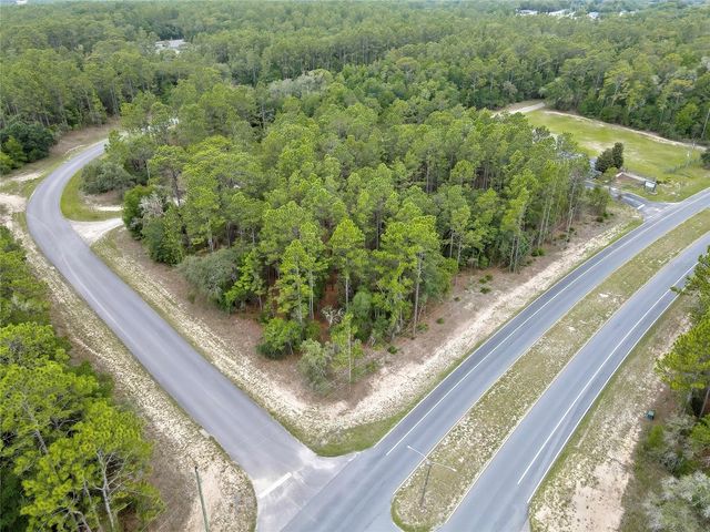 9787 N CITRUS SPRINGS BOULEVARD, Citrus Springs, FL 34434