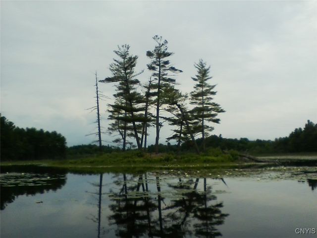 Island In Grass, Theresa, NY 13691