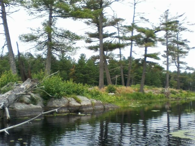 Island In Grass, Theresa, NY 13691