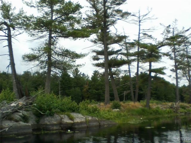 Island In Grass, Theresa, NY 13691