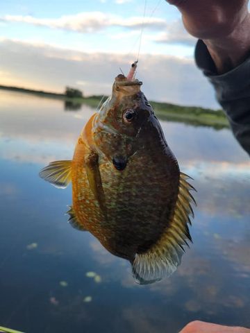 28594 Birch Island Lake Trail, Danbury, WI 54830