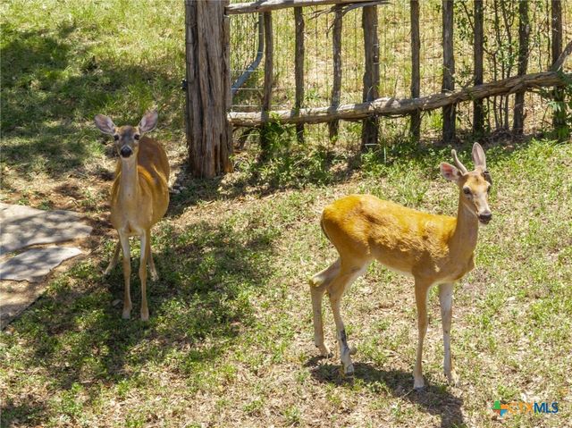 340 Sedro Trail, Georgetown, TX 78633