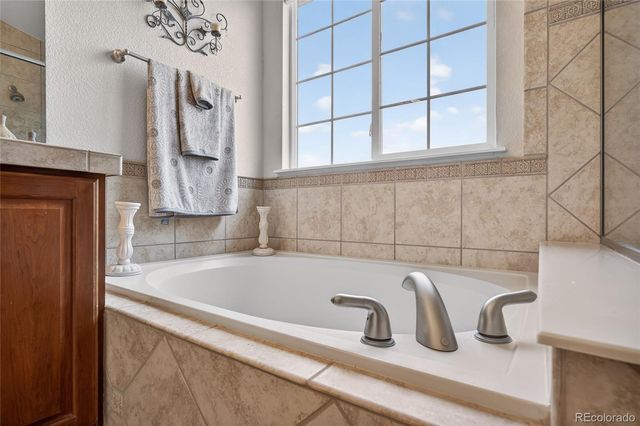 2695 Paw Print Way, Castle Rock, CO 80109