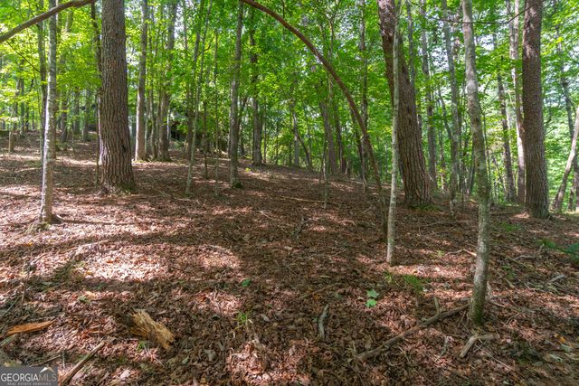 70 Doe Run, Sautee Nacoochee, GA 30571