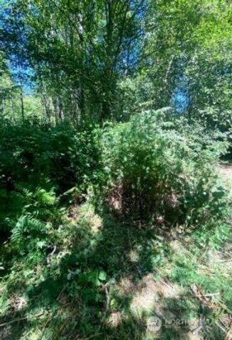 166 XX SE 51st Avenue, Bothell, WA 98012