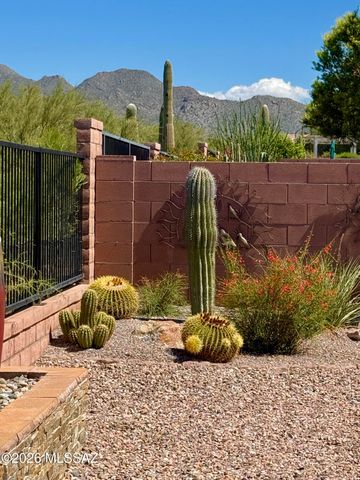 7220 Cactus Flower Pass, Marana, AZ 85658