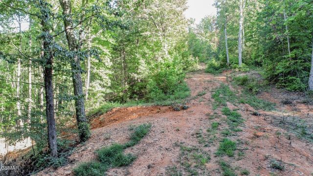 151 Delicious Way, Newport, TN 37821