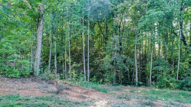 151 Delicious Way, Newport, TN 37821