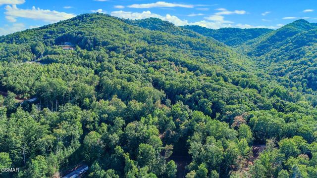 151 Delicious Way, Newport, TN 37821